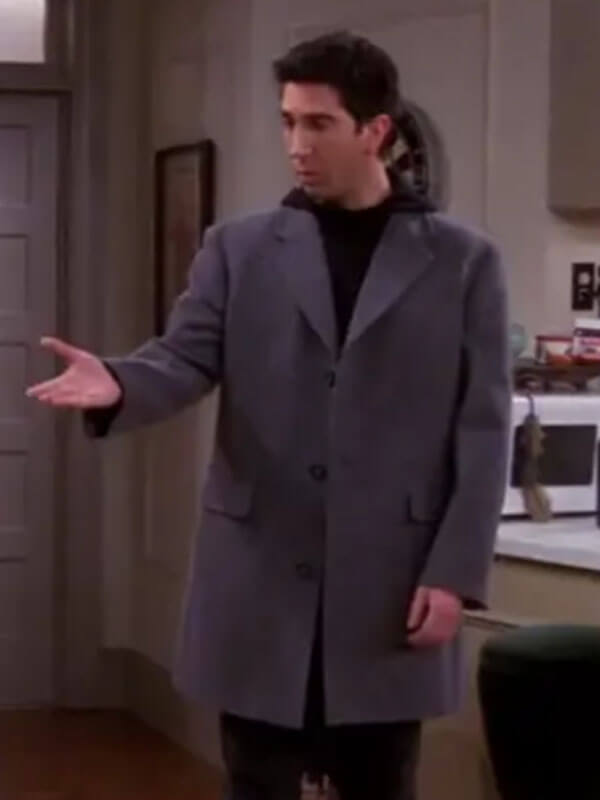 David Schwimmer Grey Coat