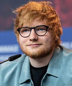 Ed Sheeran Suede Jacket